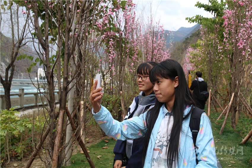 春光俏！“醉”是瀘定春三月，踏青賞花正當(dāng)時(shí)