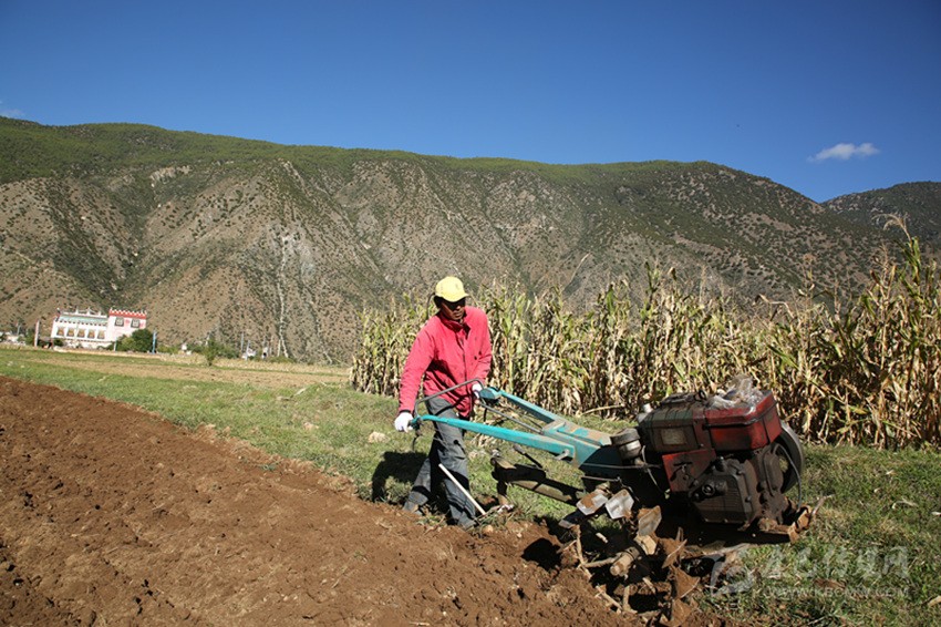田園藏鄉(xiāng)美如畫，百姓脫貧喜在心