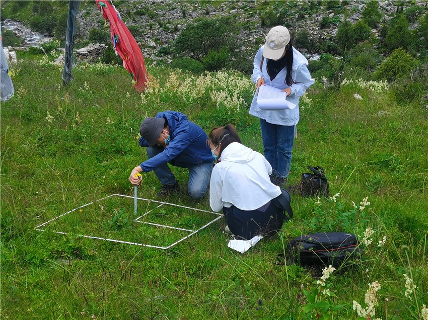 監(jiān)測(cè)工作.jpg 監(jiān)測(cè)工作.jpg