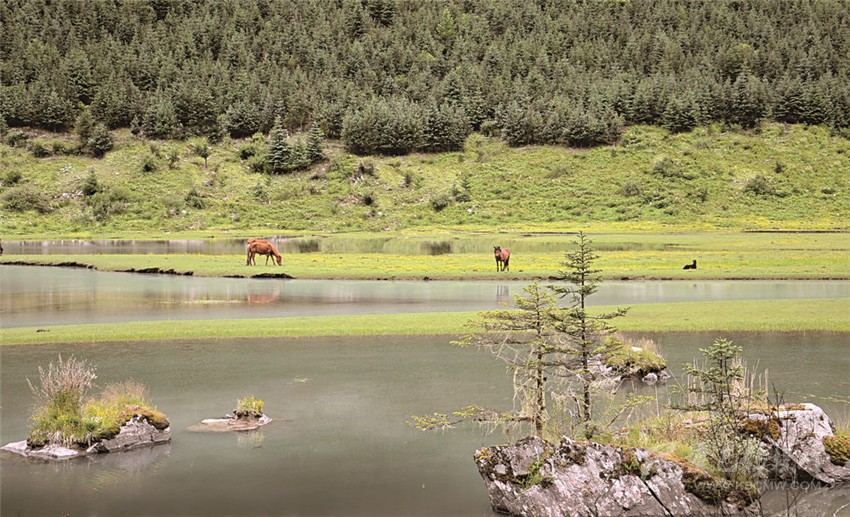 去甘孜 邂逅絕美湖泊海子！