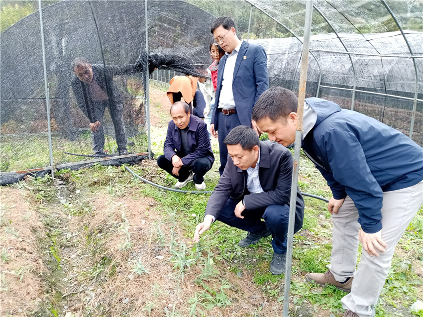 開展調(diào)研.jpg 開展調(diào)研.jpg