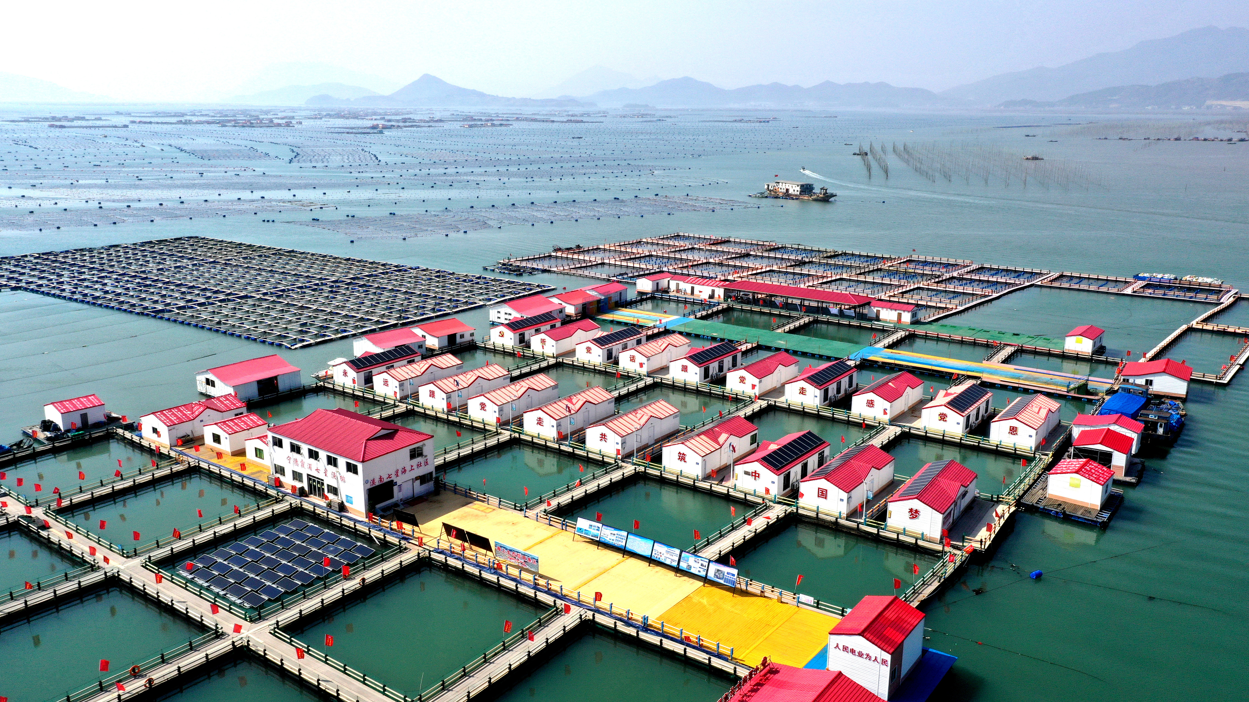 2024年3月20日，福建省寧德市，霞浦縣溪南鎮(zhèn)七星村漁排養(yǎng)殖示范區(qū)，漁民駕駛養(yǎng)殖船進行海參養(yǎng)殖作業(yè)。