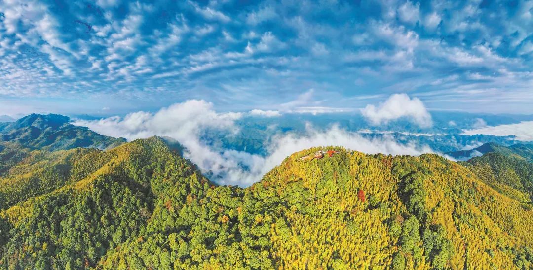 　三明森林生態(tài)環(huán)境優(yōu)美。